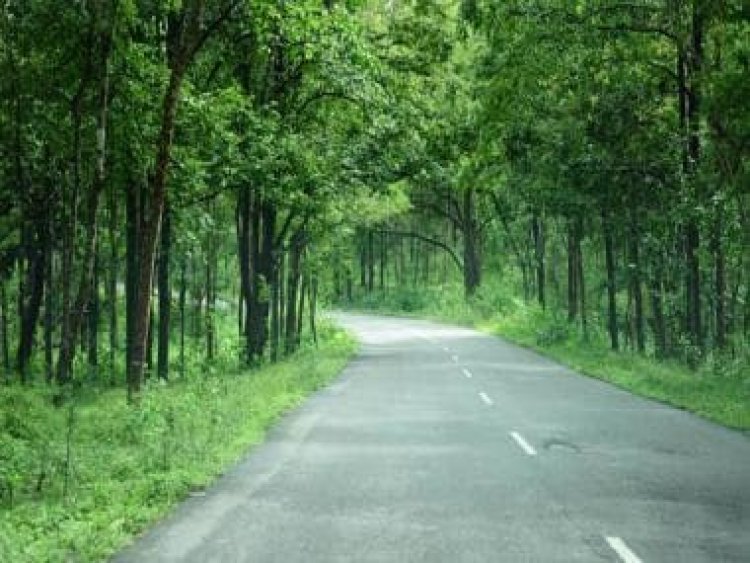 Explained: The government's new forest rules and Congress' reservation to them