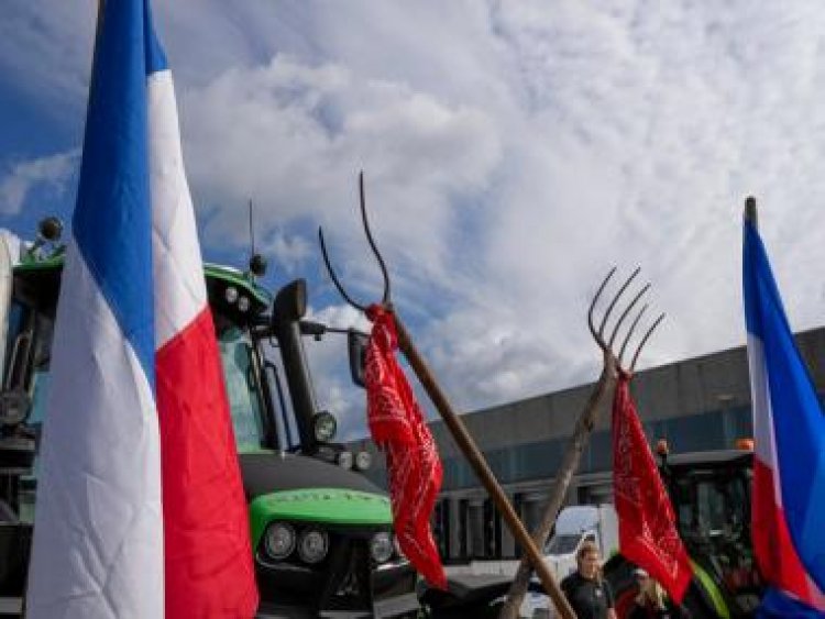 Why farmers' protests that kicked off in The Netherlands are spreading across Europe