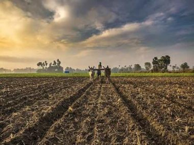 Smartphone penetration empowers farmers with splash of technology