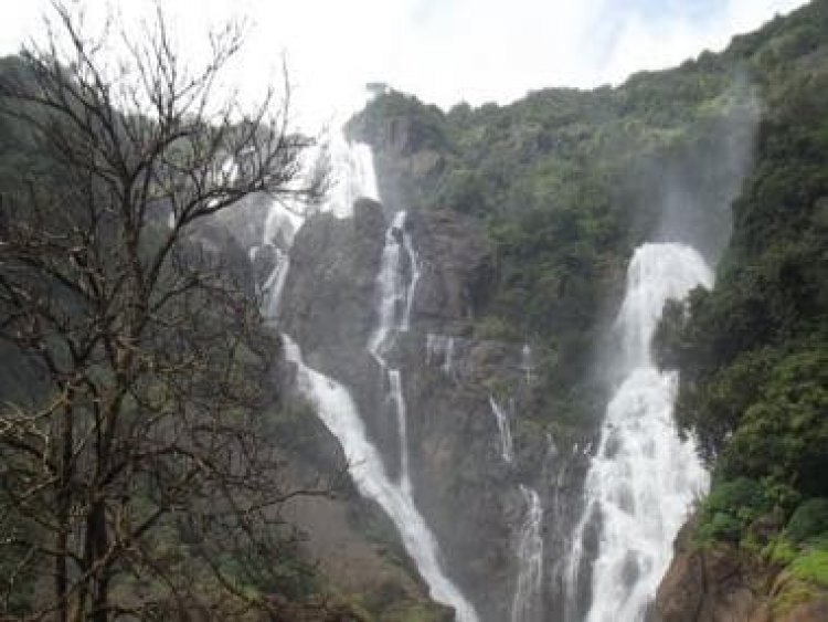 Watch: Stunning video of Dudhsagar Falls takes internet by storm