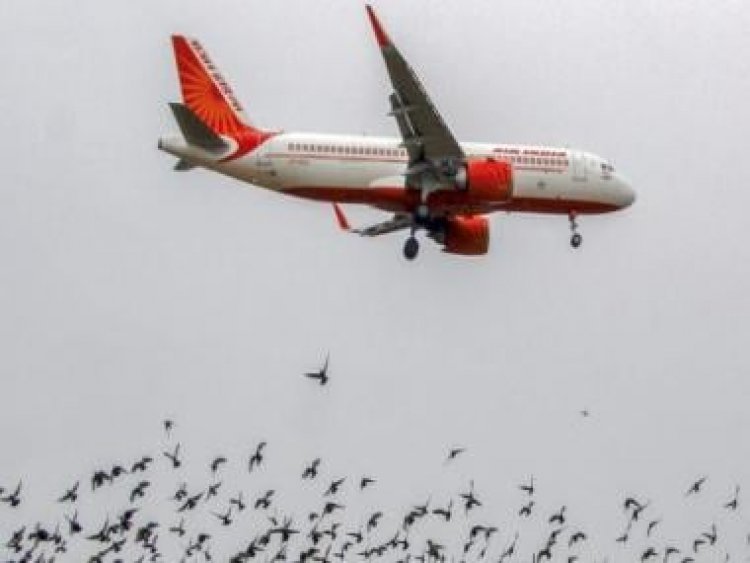 Oxygen masks deployed on Air India flight: What happens after a plane loses cabin pressure?