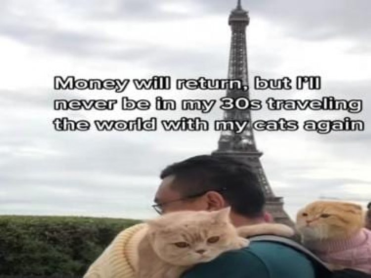 Watch: New York man travels world with his 3 cats; felines visit Paris, Times Square &amp; Venice