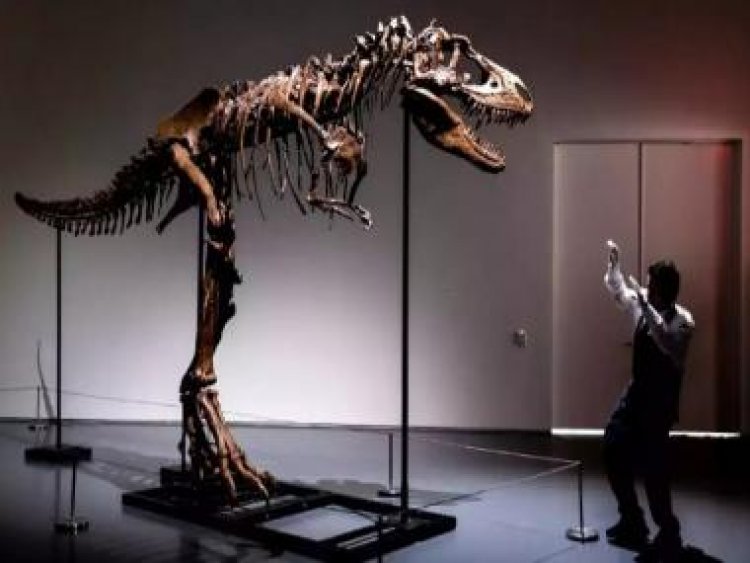 The lost world: Why do people spend millions on dinosaur skeletons?