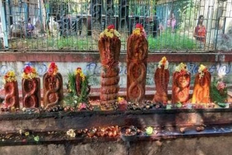 Naga Chaturthi 2022 Know date, shubh muhurat, puja vidhi and