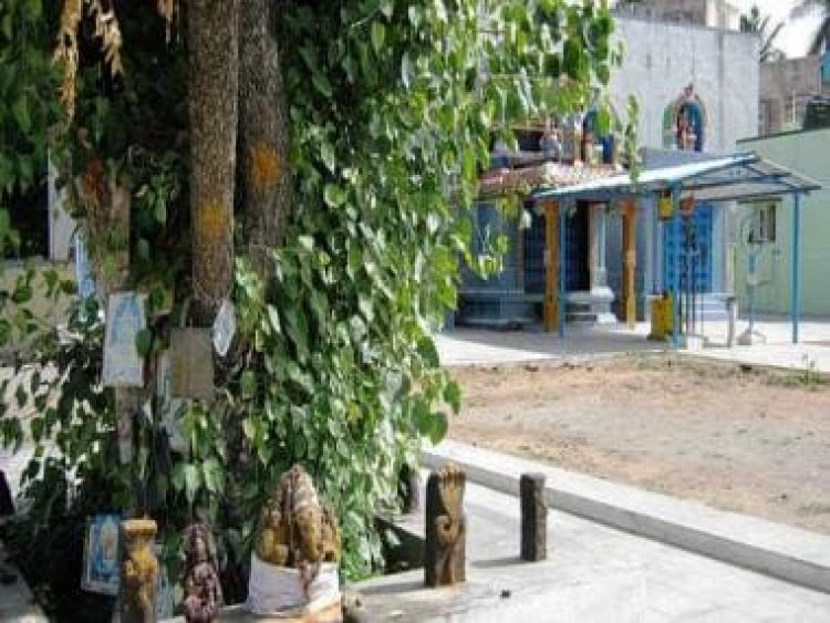 Tamil Nadu's Thalavetti Muniyappan Temple is Buddhist site, says Madras HC; halts further pooja