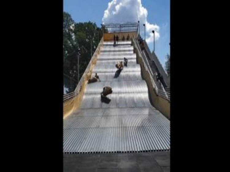 Giant slide in US shut down hours after opening. Find out why