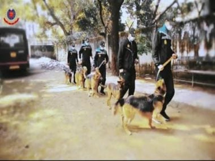 Watch: Delhi Police thanks K9 squad on International Dog Day