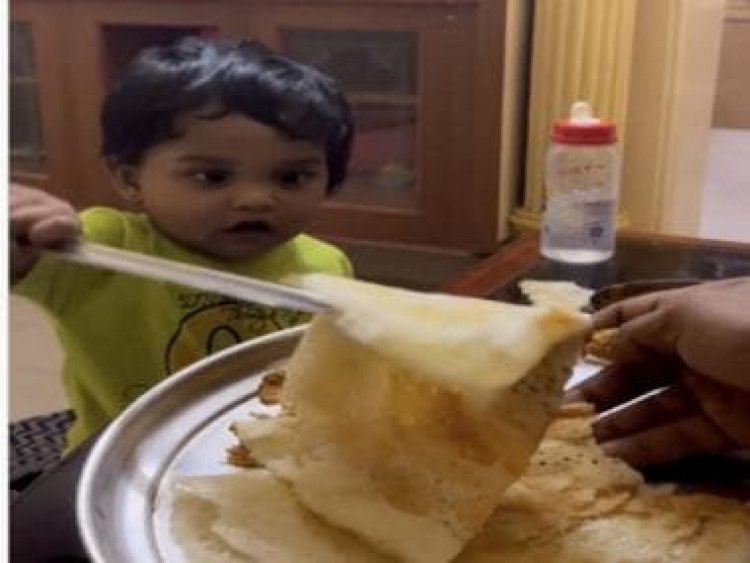 Watch: Toddler serving dosa with perfect flip awes internet