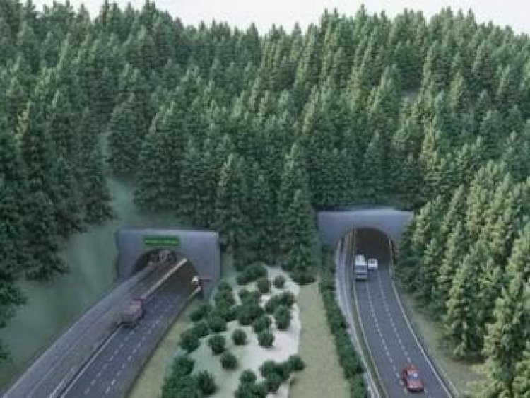 Coming soon to India, the first elevated wildlife corridor: What is it?