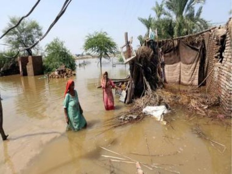 Explained: As floods wreak havoc in Pakistan, will India extend a helping hand?