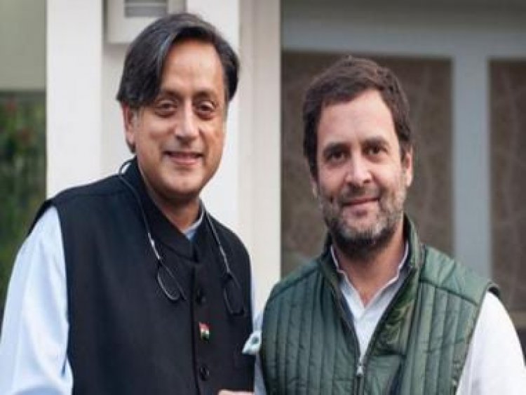 Rahul again? Will Congress get a non-Gandhi president? The possibilities explained