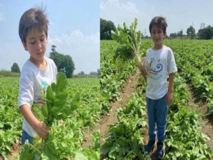 Kareena Kapoor Khan shares an adorable picture of Taimur Ali Khan picking radish from the Pataudi farm