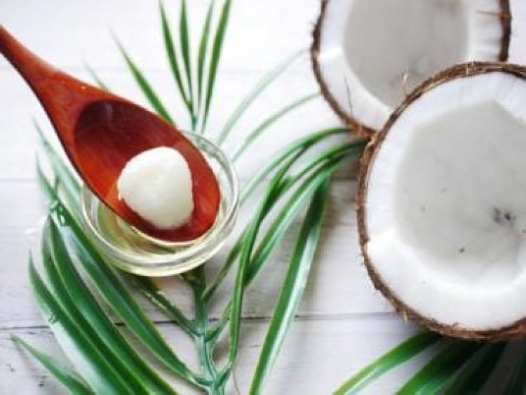 World Coconut Day 2022: 5 coconut-based drinks you must try