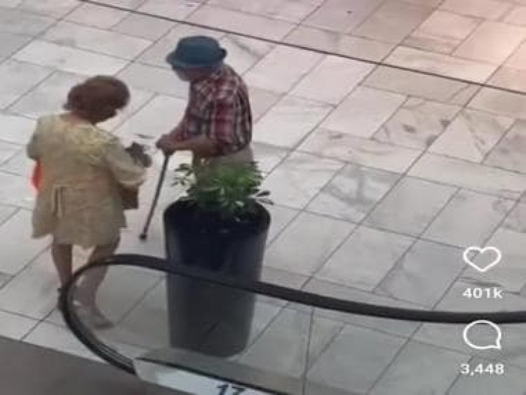 Grandparents steal plant from mall, internet calls them 'Bonnie and Clyde'