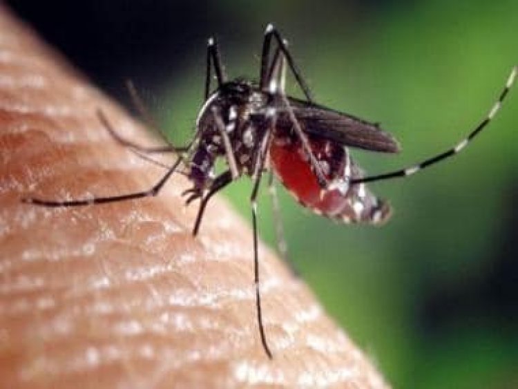 Tips protect yourself and your family from dengue and malaria fever