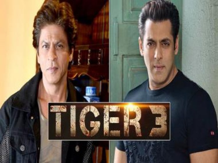 Salman Khan and Shah Rukh Khan to shoot for Tiger 3 this month