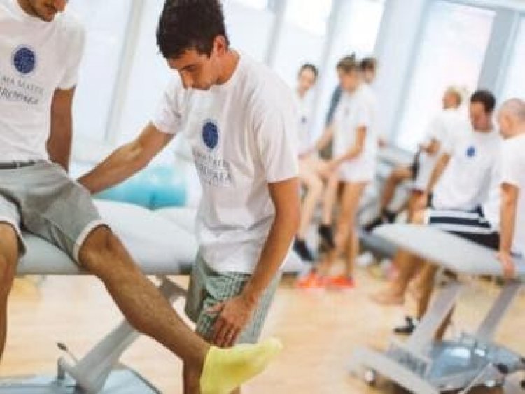 World Physical Therapy Day: History, significance and all you need to know