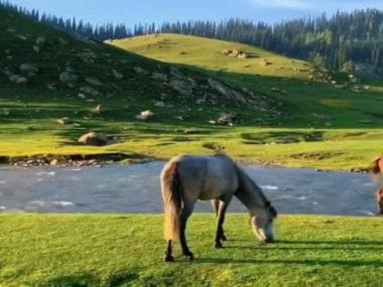 'Incredible India': Magnificent view of J&amp;K’s Bangus Valley attracts internet, watch