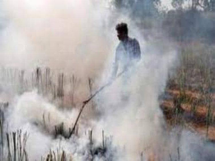 An organised, robust response to stubble burning is need of the hour
