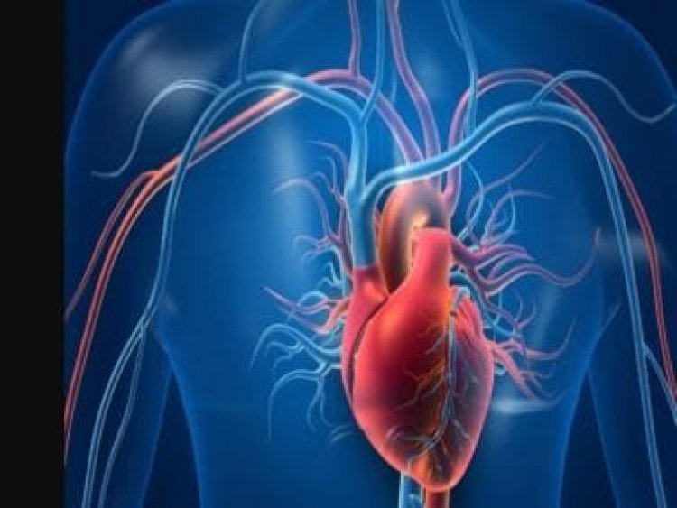Why cardiac deaths in younger adults in India is increasing