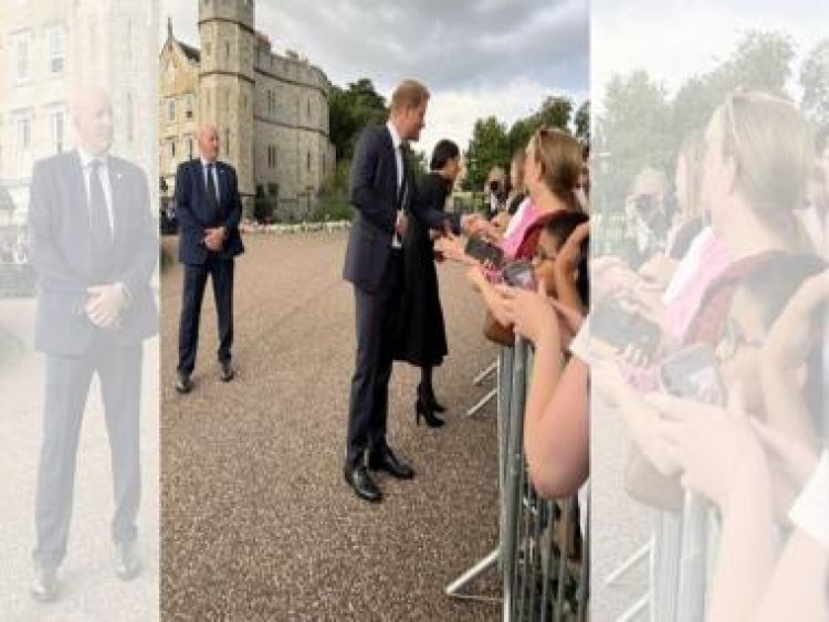 Prince Harry warmly comforts pet labrador at Windsor; photo wins Internet