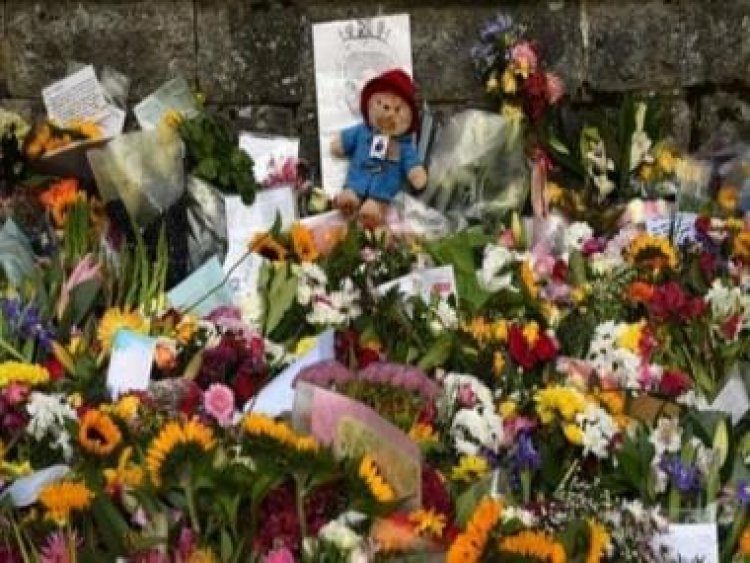Explained: Why Paddington Bear toys, marmalade sandwiches have been banned at Queen’s tribute sites
