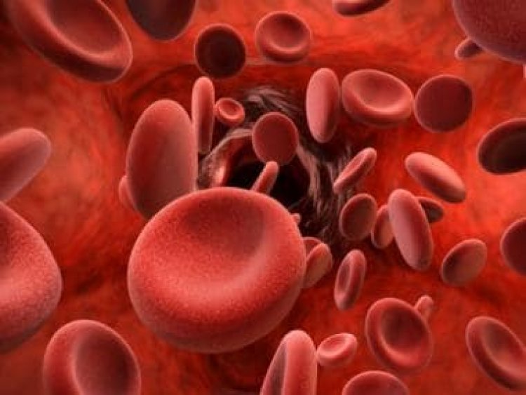 Five home remedies to boost your platelet count