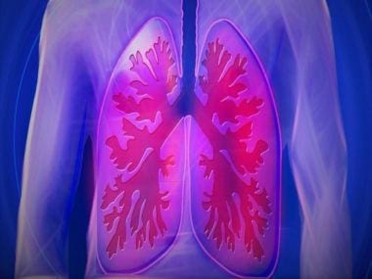 Lung cancer: Ways to prevent 'second most-common type of cancer'
