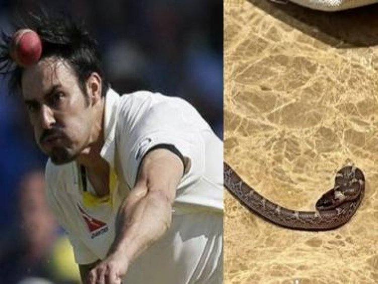 Mitchell Johnson encounters snake as surprising guest inside Lucknow hotel room, see photos