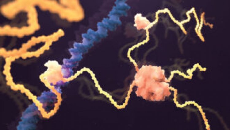 Has AlphaFold actually solved biology’s protein-folding problem?