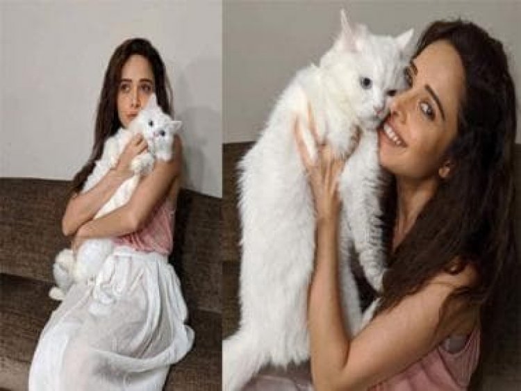 Nushrratt Bharuccha receives warm welcome from her cats after returning from Uzbekistan