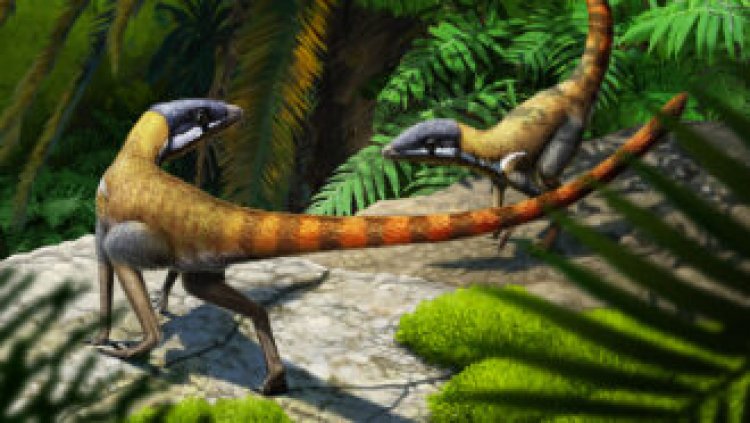 Pterosaurs may have evolved from tiny, fast-running reptiles
