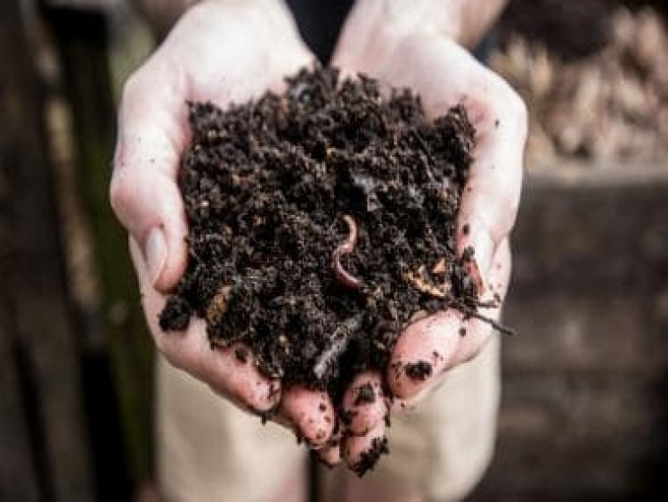 A new way to say goodbye: How some US-based companies are turning deceased humans into compost