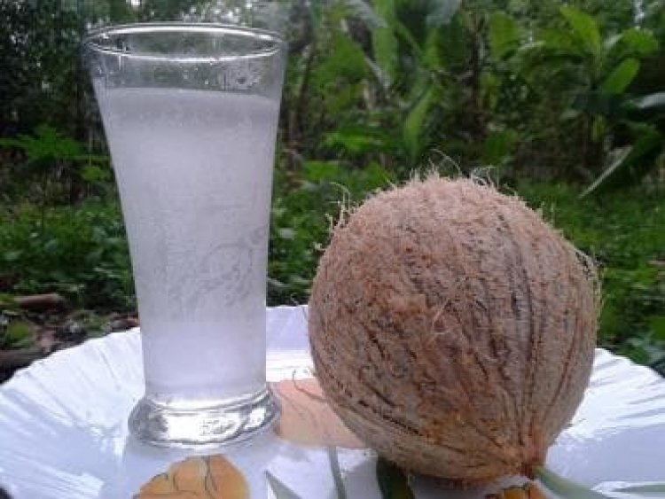 Coconut water: Five health benefits you may not know