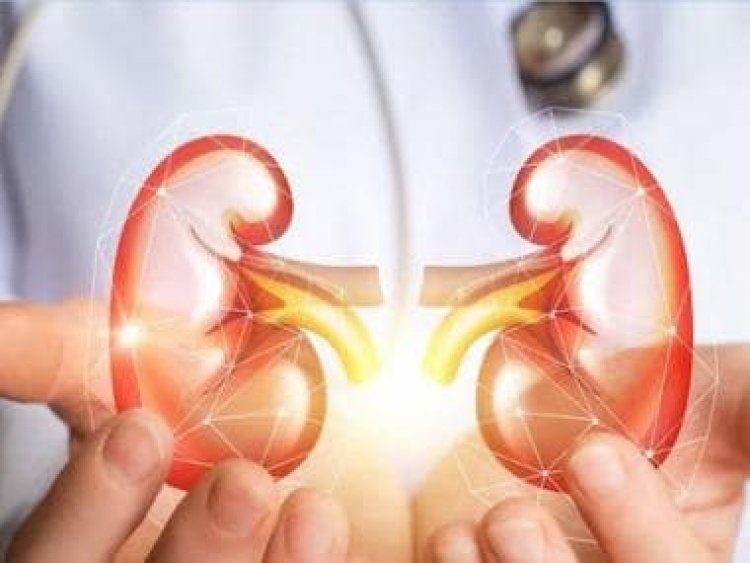 World Food Day: Can a poor diet lead to critical health issues in patients with chronic kidney disease