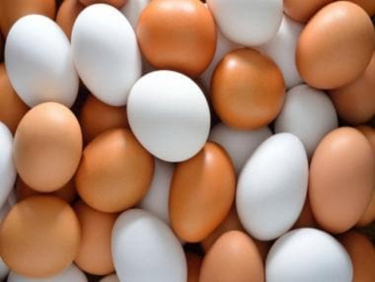 Watch Egging on: All what you can do with eggs this weekend