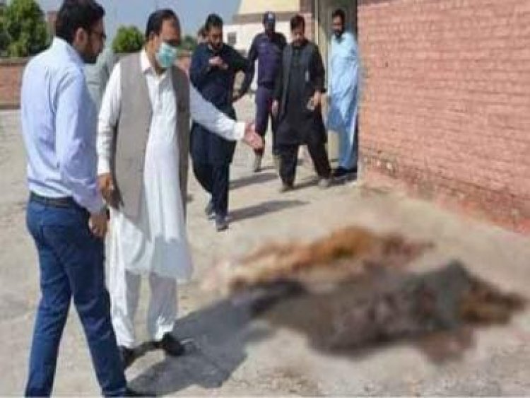 Pakistani Taliban call Pakistan a 'state of butchers' after hundreds of rotten bodies found on roof of public hospital
