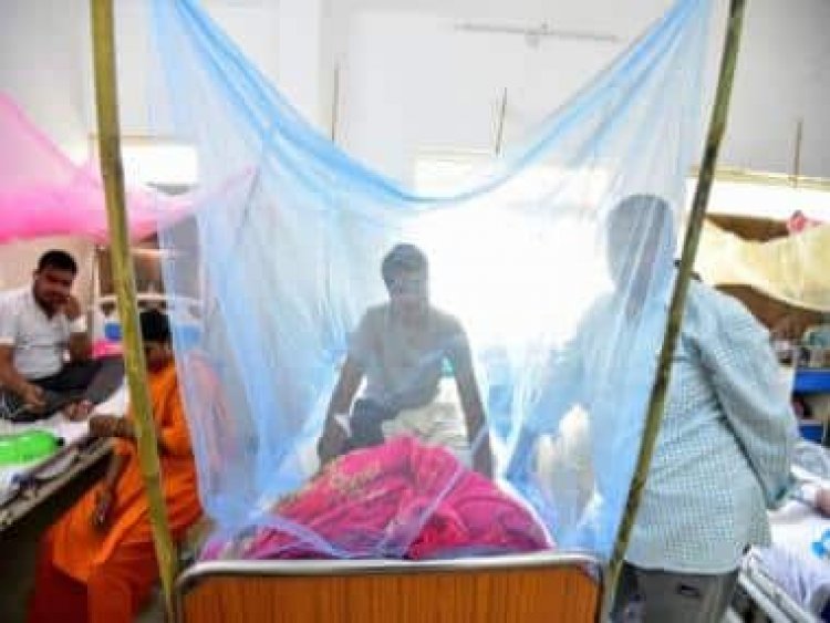 The Sting is Back: How dengue has wreaked havoc in India as well as Pakistan and Sri Lanka