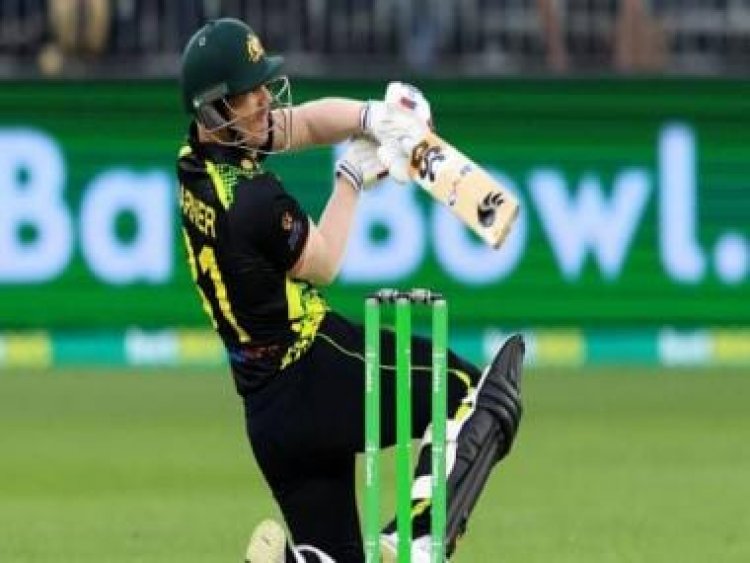 New Zealand vs Australia: David Warner bowled in bizarre manner against NZ; watch video