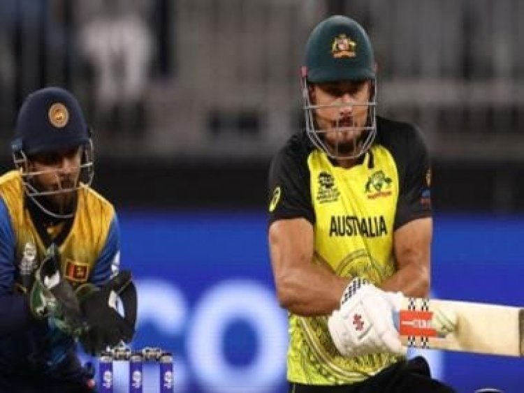 T20 World Cup: Marcus Stoinis says 'backs are still against the wall' for England clash