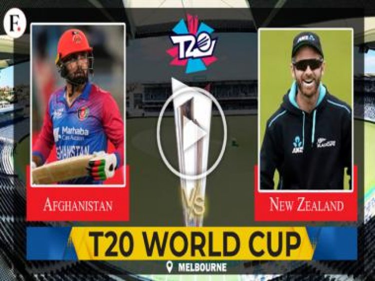 New Zealand vs Afghanistan T20 World Cup HIGHLIGHTS: Match called off due to rain
