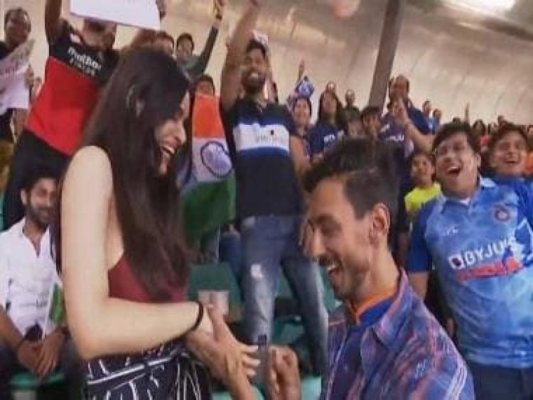 'It’s a yes': Amid India vs Netherland World Cup clash, fan proposes to his partner
