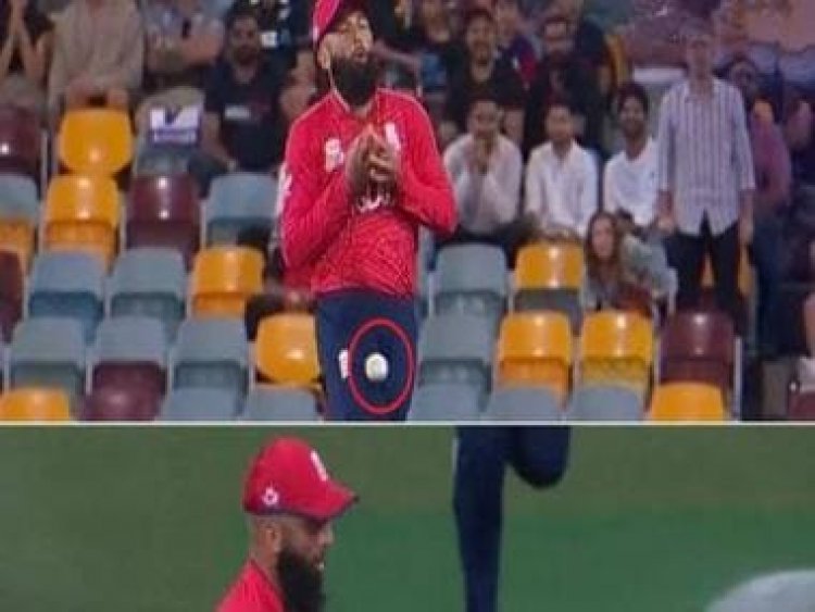 England vs New Zealand T20 World Cup: Moeen Ali drops a dolly; watch video