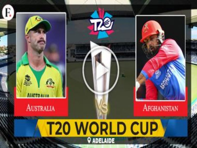 AUS vs AFG Live score T20 World Cup: Australia 57/3 after 7 overs vs Afghanistan in Adelaide