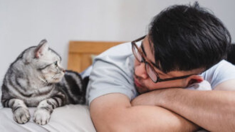 Cat allergies may be tamed by adding an asthma therapy to allergy shots