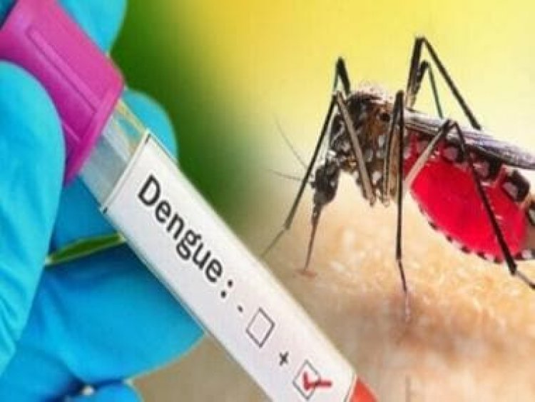 From Papaya to Pomegranates; what to eat and avoid while battling dengue fever