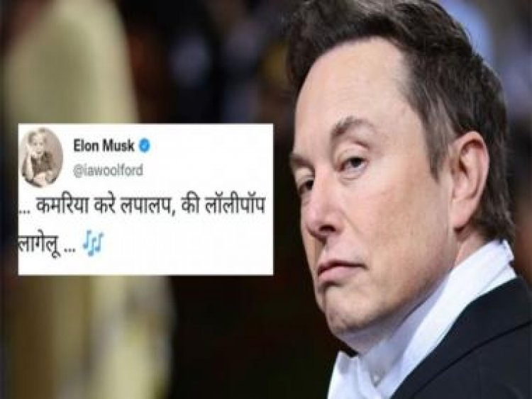 Explained: Here's the true story behind Elon Musk tweeting the lyrics of the Bhojpuri song Lollipop