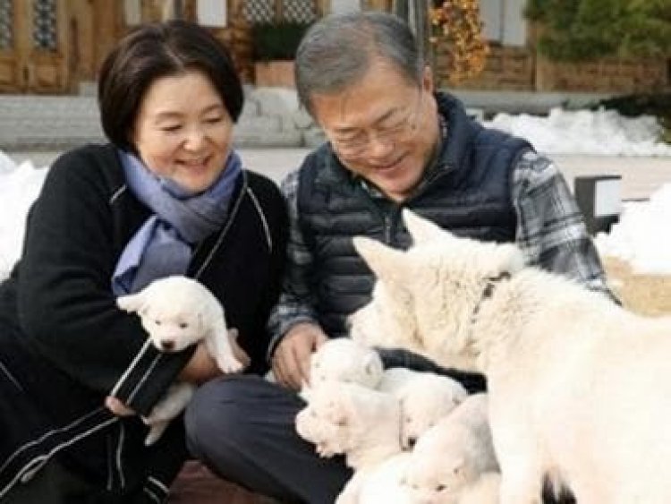 Doggie Troubles: The bizarre row in South Korea over canines gifted by North Korea’s Kim Jong-un