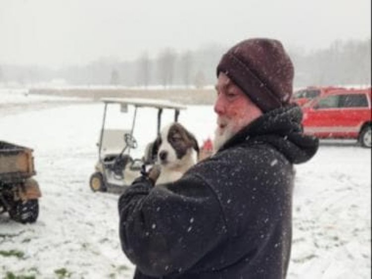 Airplane with over 56 rescue dogs onboard crashes on golf course