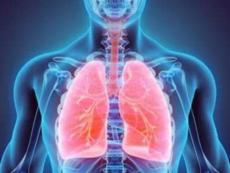 Lungs cancer: Who are vulnerable and what complications may arise